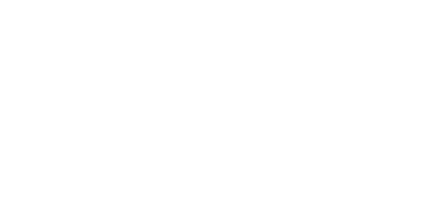 Logo Qetzaly quetzal