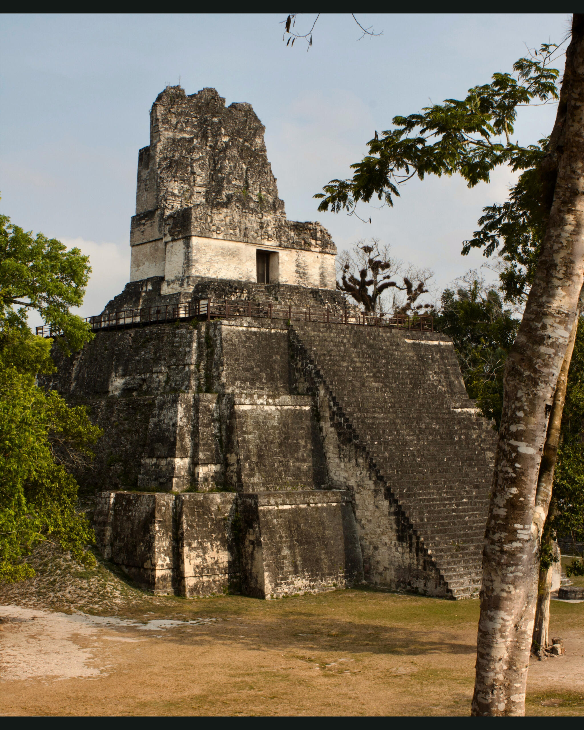 Tikal cité maya Qetzaly tikal maya Qetzaly